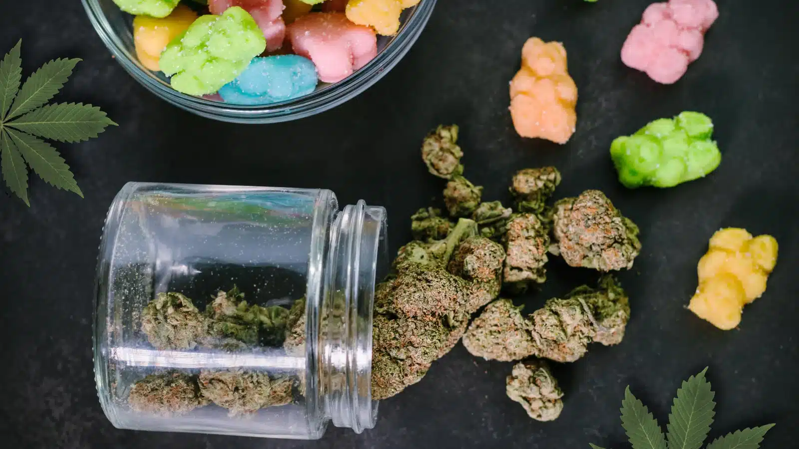 Can THCA Be Used For Edibles: Understanding The Effects 